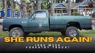 1982 Dodge Truck Revival: Rust, Regret & Redemption