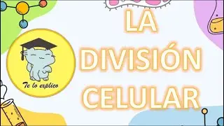 Introducci&oacute;n f&aacute;cil a la divisi&oacute;n celular
