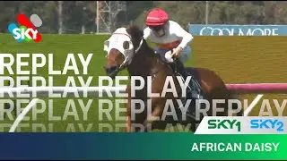 AFRICAN DAISY WINS THE MIDWAY HANDICAP