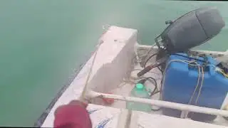 Live video of fish arriving in the Bay of Bengal today #sbo #sbotvm #partimejob 