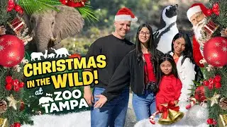 Рождественское мероприятие в зоопарке Тампы 2025 🎄 | Животные, огни и волшебство праздника