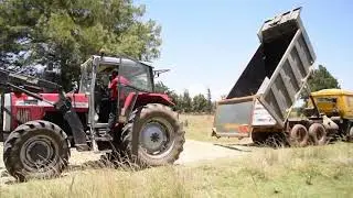 MAIZE SILAGE 2018 in ELDORET, KENYA