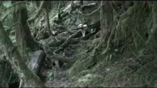 MIDDLE FORK TRAIL TRAVELOGUE