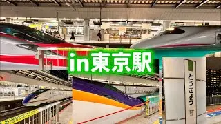 【実車】東京駅で新幹線みてきた