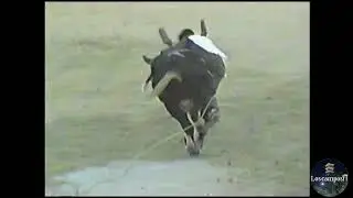 jaripeo en nocupetaro 1996