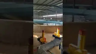 Natural filtration in recirculating aquaculture system at sirsa project