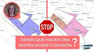 5 cosas QUE  TIENES QUE SABER 🛑 para SEGREGAR o dividir✂️🧩!!