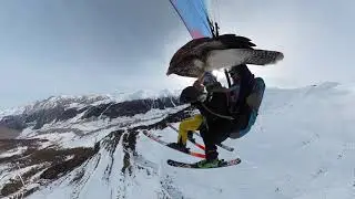 Parahawking a Livigno