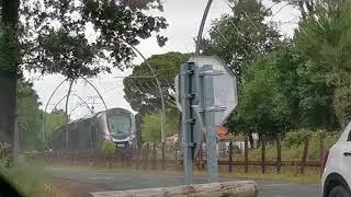 [Bordeaux area] SNCF TER Aquitaine Regio2N passes a railway crossing near Biganos