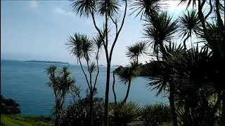 Waiheke Island Hiking and Vine Tour15 09 18