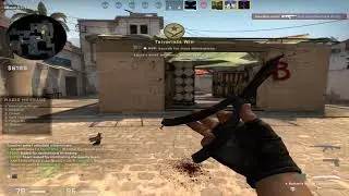 zap_1