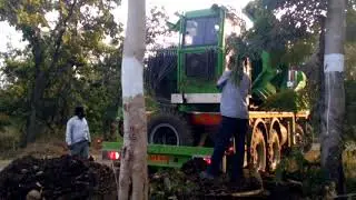 Tree plantation at Gorewada