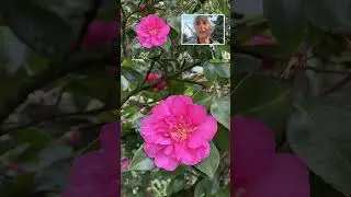 Walk with Me Through My Winter Garden in Portland, Oregon #plants #gardening #garden