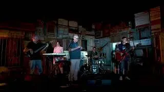 Walking Blues - performance by Robert Davis and BlueSpirit