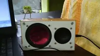 diy speaker PAM8430 inside.