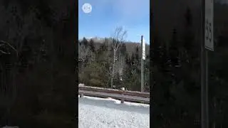 On the way to snowmobiling in NH #usa #nature #trendingshorts #newvideo #natural #plants