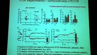 Multi-scale modeling exemplified in the basal ganglia