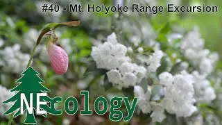 NEcology #40 - Mt. Holyoke Range Excursion