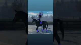 Game: Equest #roblox #equest  #equestrian #arabian #horse  #gallop #horseriding #sports