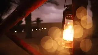 Evening Desert Safari in Dubai with Royal Adventure Travel and Tourism