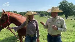 Western Horseman July 2019 issue preview