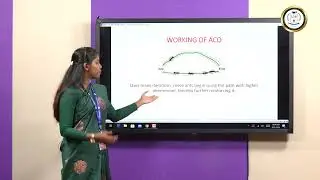 Ant Colony Optimization  - Ms J Percy poulin