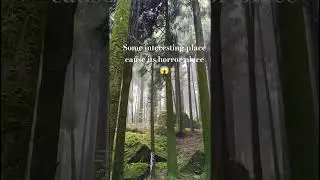 experienced some horror place#horror #music #nature 😱