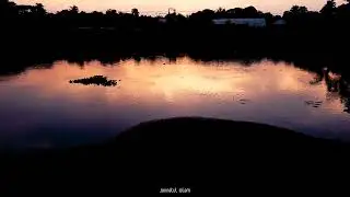To be a Alone (Cinematic) s20 Ultra