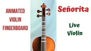 SE&Ntilde;ORITA 💃(SENORITA)Animated Violin FINGERBOARD | Live VIOLIN Cover| Medium tempo | Mendes & Cabello