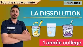 la dissolution 1 année collège 