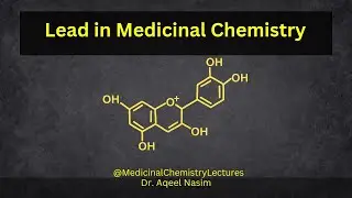 Lead in Medicinal Chemistry