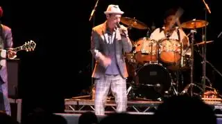 The Dualers - Too Experienced
