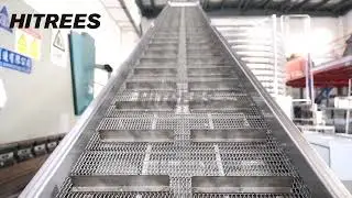 Salmon Processing Line