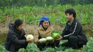 Небольшие детали, добавленные на кухню | Фу подарил Мэй свежую и вкусную капусту