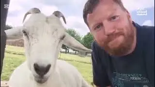 ضحك ومنعة مع الحيوانات Laughter and immunity with animals 