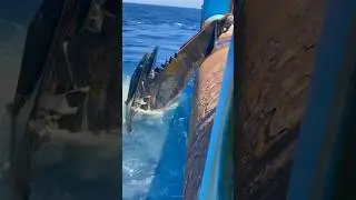How Ships Stay Steady in the Ocean ? #ship #shorts