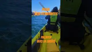 Pagayer vers la Libert&eacute; | Kayak en Mer &agrave; Praia dos Estudantes &ndash; Lagos Portugal