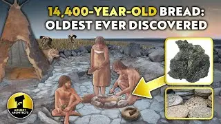 14,400-Year-Old BREAD: The Oldest Ever Discovered | Ancient Architect