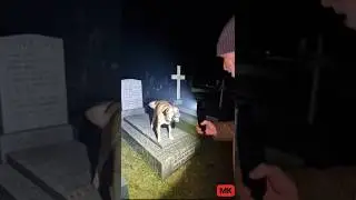 dog possessed prank! part.73 #glume #viral #dog #prank #caine #funny #possessed #dogshorts #devil&nbsp;