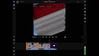Custom moveset leak