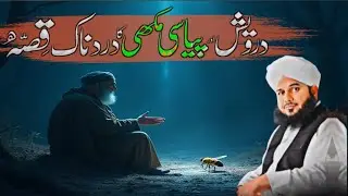 Darwaish Aur Piyasi Makhi Ka Dardnaak Qissa | Islami Qissa | Dil Ko Chhoo Lenay Wali Kahani 2025