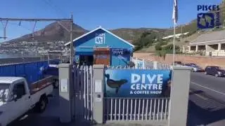 Learn to Dive with Pisces Divers