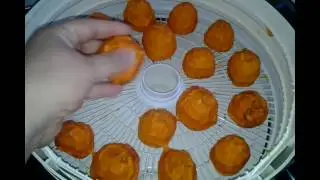 Drying Whole Persimmons