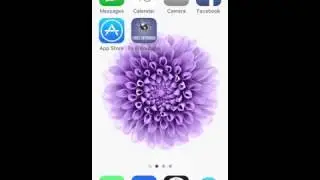 1 FXE App Store