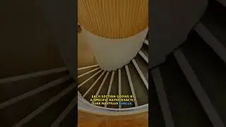 Nobody knows why spiral staircases feel so natural 🤯