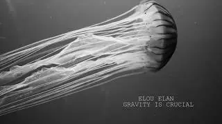 Elou Elan-Gravity Is Crucial