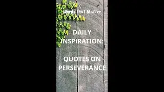 BEST POWERFUL DAILY INSPIRATION PERSEVERANCE QUOTES | #Shorts |  Words that Matter