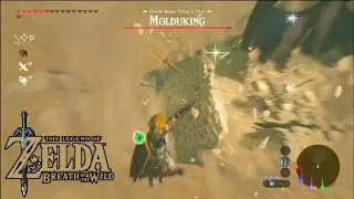 Average first encounter with Molduking in Legend of Zelda breath of the wild. #zelda