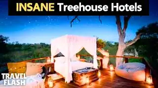 5 Luxury Treehouse Hotels You Have To See To Believe