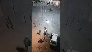 sai gao urs mout ka koiva #youtubeshorts #viral #viral